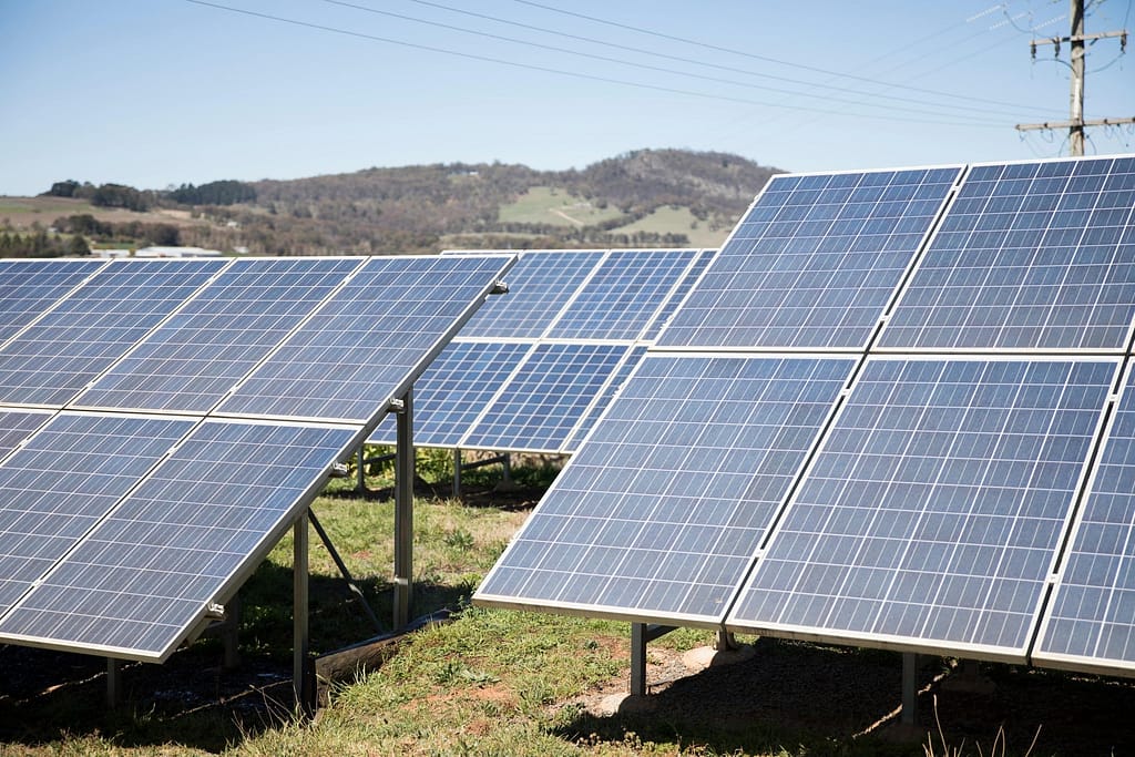 Solar panels displayed in a solar surge in South Australia